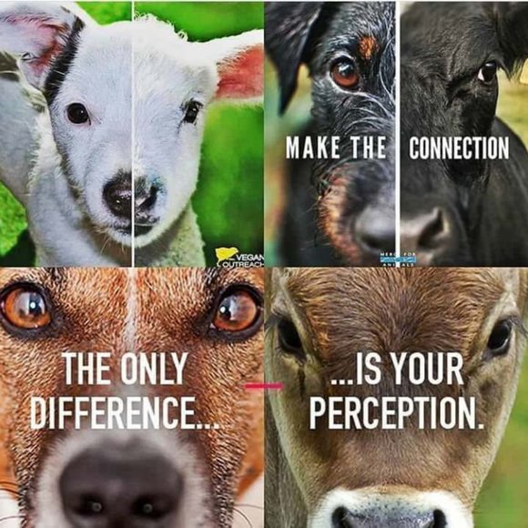 None Other - If we can live well without harming other living beings, why wouldn't we?